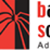 Barking Spider Solutions Video Marketing & Strategy Logotype