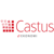 Castus Ekonomi Logotype