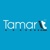 Tamar IT Logotype