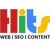 HITS Web SEO Write Logotype