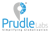 Prudle Labs Private Limited Logotype
