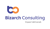 Bizarch Consulting Logotype