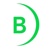 Blockwiz Solutions Pvt Ltd Logotype