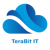 Terabit IT Logotype