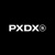 PXDX Studio Logotype