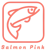 Salmon Pink Business Solutions Logotype