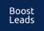 Boost Leads Logotype