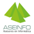 ASESORES EN INFORMATICA, S.A. DE C.V. Logotype