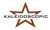 Kaleidoscopic, Inc. Logotype