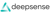 Deepsense Digital Solutions Logotype