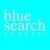 Blue Search Conseil Logotype