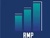 RMP Professional Services Logotype