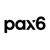 Pax6 Design Consulting Logotype