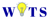 Wisdom IT Solutions Logotype