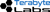 Terabyte Labs Logotype