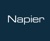 Napier Partnership Limited Logotype