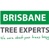 Brisbane Tree Experts Logotype