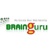 Brainguru Technologies Pvt Ltd Logotype