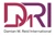 Damian M. Reid International Logotype