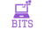 Benchmark IT Services Logotype