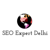 Best SEO Expert in Delhi Logotype