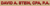 David A. Stein, CPA, P.A. Logotype