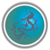 Dragon Financial Group Logotype