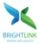 BrightLink Shipping and Logistics Logotype