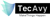 TecAvy Logotype