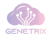 Genetrix Technology Logotype