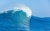 Surf Search Inc Logotype