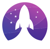Apollo Digital Logotype