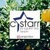 C Starr Properties Team | @properties, Arlington Heights Logotype