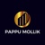 PAPPU MOLLIK Logotype