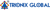 Trionix Global Logotype