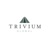 Trivium Global, LLC Logotype