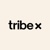 Tribe X Digital Logotype