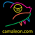 Camaleón Diseño Visual Logotype