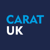 Carat Logotype