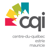Carrefour Quebec International Logotype