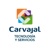 Carvajal Technology and Services Logotype