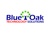 Blue Oak Technology Services Logotype