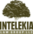 Intelekia Law Group LLC Logotype