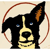 Lucky Dog Audio Post Logotype
