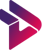 Design Service Pro Logotype