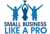 Small Business Like A Pro Logotype