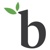 Bamboo Detroit Logotype