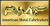 American Metal Fabricators Logotype