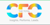 The Total CFO Logotype