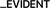 Evident Strategies Logotype